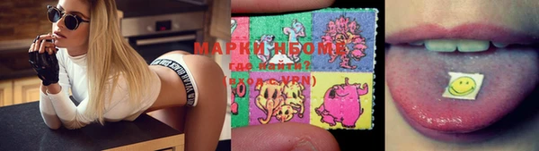 ешки Аркадак