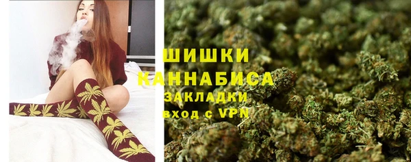 ешки Аркадак