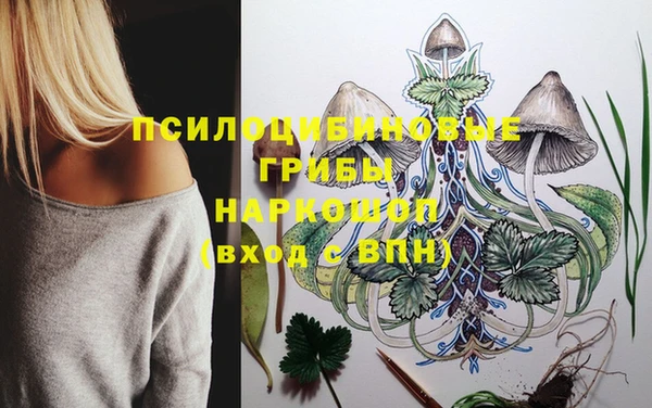 ешки Аркадак